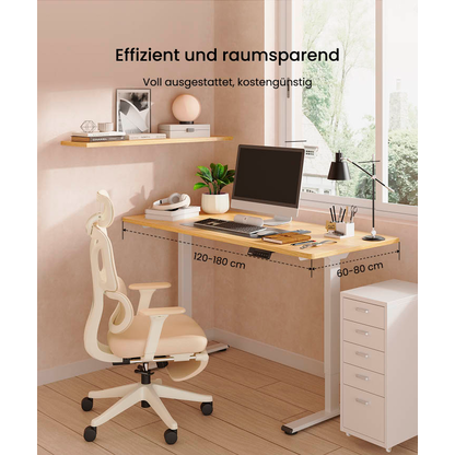 Artikelbild 4 für FlexiSpot E1 Pro elektrisch höhenverstellbares Schreibtischgestell schwarz ohne Tischplatte, T-Fuß-Gestell schwarz 111,6 - 148,6 x 68,0 cm, Artikelnummer 656676