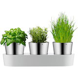 Artikelbild 1 für WMF Kräutertopf-Set Gourmet silber, 3 St., 5-tlg., Artikelnummer 823430