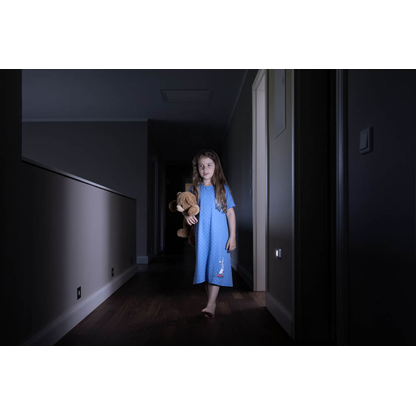 Artikelbild 3 für LEDVANCE LED-Außenleuchte mit Dämmerungssensor und Bewegungsmelder NIGHTLUX Hall, silber 0,25 W, Artikelnummer 916573