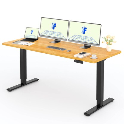 Artikelbild 3 für FlexiSpot E1 Pro elektrisch höhenverstellbares Schreibtischgestell schwarz ohne Tischplatte, T-Fuß-Gestell schwarz 111,6 - 148,6 x 68,0 cm, Artikelnummer 656676