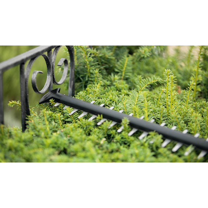 Artikelbild 5 für BOSCH Home & Garden UniversalHedgeCut 18V-50 Akku-Heckenschere, ohne Akku, Artikelnummer 467437