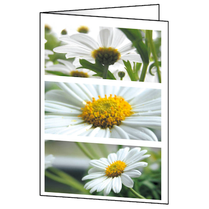 Artikelbild für 25 SIGEL Grußkarten Romance DIN A6, Artikelnummer 571729