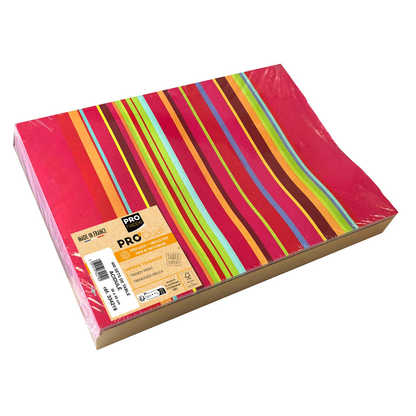 Artikelbild für 400 PROnappe Platzsets Bunt mehrfarbig 30,0 x 40,0 cm, Artikelnummer 348338