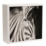 Artikelbild 1 für PAPERFLOW easyOffice Black & White Rollladenschrank 61258 2 Fachböden 110,0 x 41,5 x 104,0 cm, Artikelnummer 210858