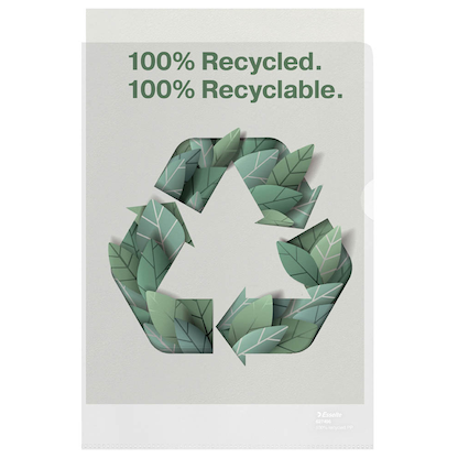 Artikelbild 6 für 100 Esselte Sichthüllen DIN A4 transparent genarbt 0,10 mm, Artikelnummer 304557