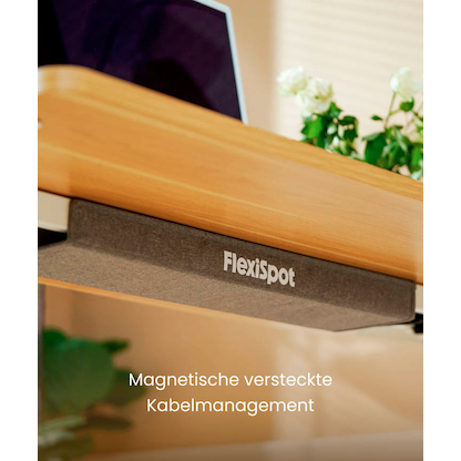 Artikelbild 7 für FlexiSpot E9 elektrisch höhenverstellbares Schreibtischgestell weiß ohne Tischplatte, T-Fuß-Gestell weiß 110,0 - 190,0 x 68,0 cm, Artikelnummer 656706