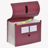Artikelbild 1 für FolderSys Fächermappe 12 Fächer rot, Artikelnummer 642082
