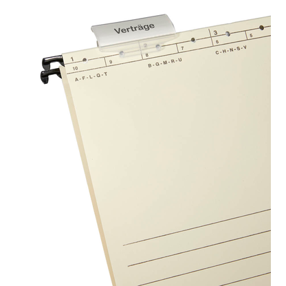 Artikelbild 4 für 25 Hängemappen chamois, Artikelnummer 182386