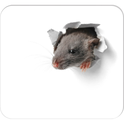 Artikelbild 2 für RNK-Verlag Mousepad-Notizblock weiß/grau Papier 24,0 x 22,0 cm, 30 Blatt, Artikelnummer 256632