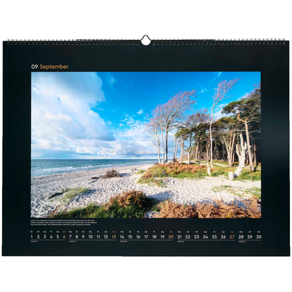 Artikelbild 10 für KUNTH Monats-Wandkalender Wildnis Deutschland 2026, Artikelnummer 575898