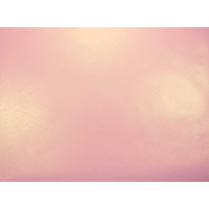 Artikelbild 2 für JUNG SCHÖNER VERPACKEN Geschenkpapier Vollton Perlenglanz rosé Uni rosa, 20,0 m, Artikelnummer 184521