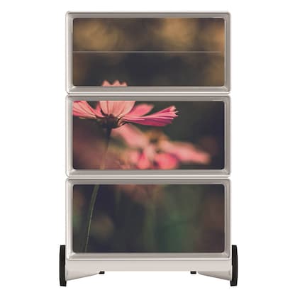 Artikelbild 3 für PAPERFLOW easyBox Garden Factory Rollcontainer weiß, bunt 4 Auszüge 39,0 x 43,6 x 64,2 cm, Artikelnummer 215758