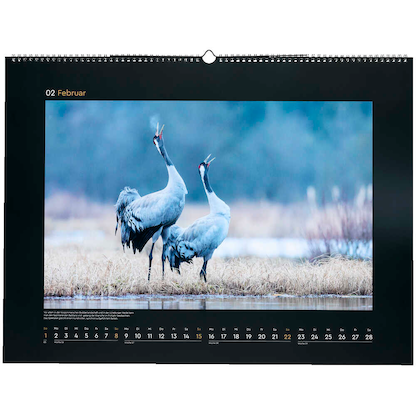 Artikelbild 3 für KUNTH Monats-Wandkalender Wildnis Deutschland 2026, Artikelnummer 575898