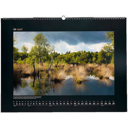 Artikelbild 5 für KUNTH Monats-Wandkalender Wildnis Deutschland 2026, Artikelnummer 575898