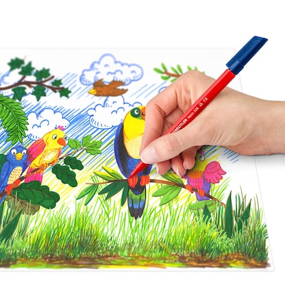 Artikelbild 4 für STAEDTLER Noris® 326 Filzstifte farbsortiert, 100 St., Artikelnummer 464429