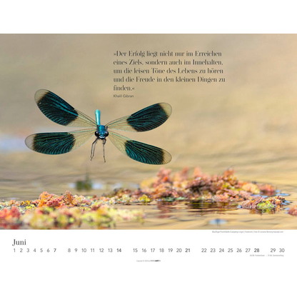 Artikelbild 7 für Weingarten Monats-Wandkalender Wege des Erfolgs 2026, Artikelnummer 551087