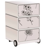 Artikelbild 1 für PAPERFLOW easyBox Garden Factory Rollcontainer weiß, bunt 4 Auszüge 39,0 x 43,6 x 64,2 cm, Artikelnummer 215919