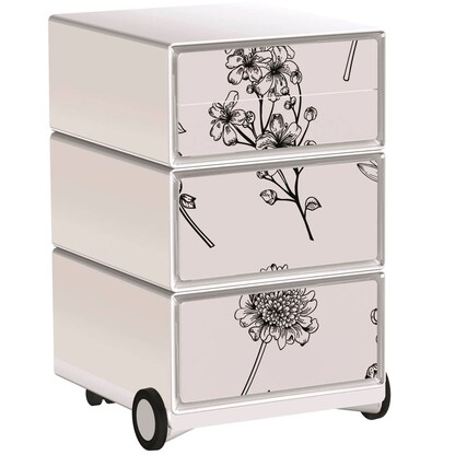 Artikelbild für PAPERFLOW easyBox Garden Factory Rollcontainer weiß, bunt 4 Auszüge 39,0 x 43,6 x 64,2 cm, Artikelnummer 215919