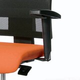 Artikelbild 1 für 2 Topstar T2 Armlehnen verstellbar schwarz für Lady Sitness® Deluxe, Nito, Open Art, Artikelnummer 225276