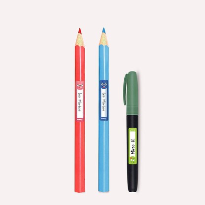 Artikelbild 7 für AVERY Zweckform Stiftetiketten Gesichter, farblich sortiert 50,0 x 10,0 mm, 30 Etiketten, Artikelnummer 588127