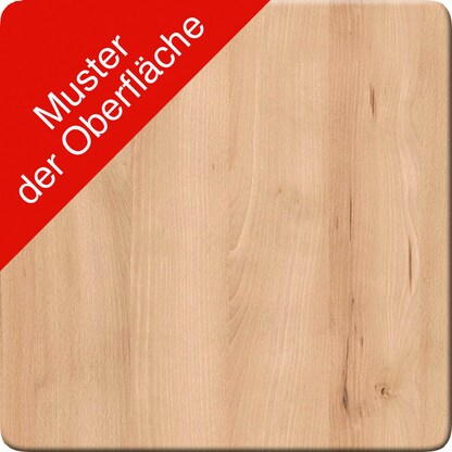 Artikelbild 2 für GERMANIA Schuhschrank Lissabon, 3471-228 edelbuche 1 Fachboden 96,0 x 40,0 x 103,0 cm, Artikelnummer 642312