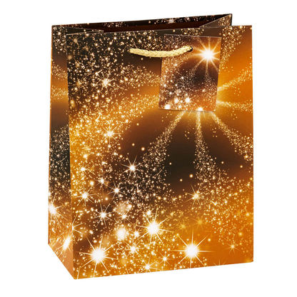 Artikelbild 3 für 12 TSI Geschenktüten Weihnachten Serie 8 Motiv sortiert 18,0 x 23,0 cm, Artikelnummer 277313