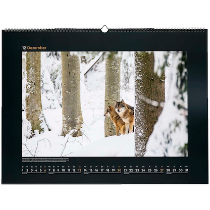 Artikelbild 13 für KUNTH Monats-Wandkalender Wildnis Deutschland 2026, Artikelnummer 575898