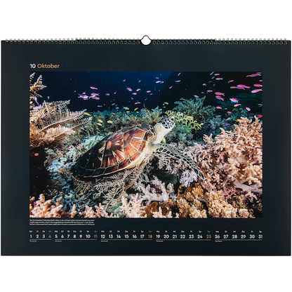 Artikelbild 11 für KUNTH Monats-Wandkalender UNESCO Naturerbe 2026, Artikelnummer 575888