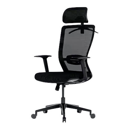 Artikelbild 1 für FlexiSpot Bürostuhl BS3 Stoff schwarz, Gestell schwarz, Artikelnummer 444709