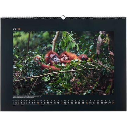 Artikelbild 6 für KUNTH Monats-Wandkalender UNESCO Naturerbe 2026, Artikelnummer 575888