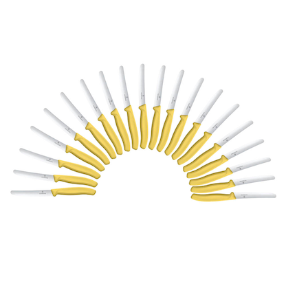 Artikelbild 22 für VICTORINOX Frühstücksmesser Swiss Classic silber, gelb glänzend, poliert, Klinge: 11,0 cm, 20 St., Artikelnummer 543918