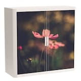 Artikelbild 1 für PAPERFLOW easyOffice Garden Factory Rollladenschrank 61118 2 Fachböden 110,0 x 41,5 x 104,0 cm, Artikelnummer 210488