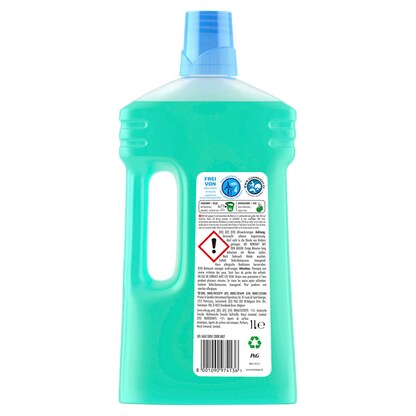 Artikelbild 2 für Meister Proper Frühlingserwachen Allzweckreiniger 1,00 l, Artikelnummer 178808