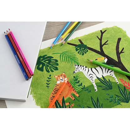 Artikelbild 3 für EBERHARD FABER Colori Buntstifte farbsortiert, 24 St., Artikelnummer 708962