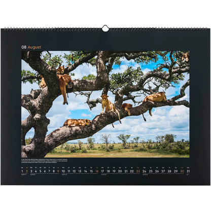 Artikelbild 9 für KUNTH Monats-Wandkalender UNESCO Naturerbe 2026, Artikelnummer 575888