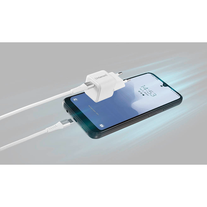 Artikelbild 2 für Intenso W30C + C315C USB-C Kabel GaN-Ladeadapter weiß, 30 Watt, Artikelnummer 514249