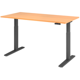 Artikelbild 1 für HAMMERBACHER XMKA16 elektrisch höhenverstellbarer Schreibtisch buche rechteckig, C-Fuß-Gestell grau 160,0 x 80,0 cm, Artikelnummer 542997