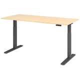 Artikelbild 1 für HAMMERBACHER XMKA19 elektrisch höhenverstellbarer Schreibtisch ahorn rechteckig, C-Fuß-Gestell grau 180,0 x 80,0 cm, Artikelnummer 543262