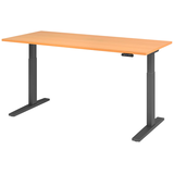 Artikelbild 1 für HAMMERBACHER XMKA19 elektrisch höhenverstellbarer Schreibtisch buche rechteckig, C-Fuß-Gestell grau 180,0 x 80,0 cm, Artikelnummer 543122