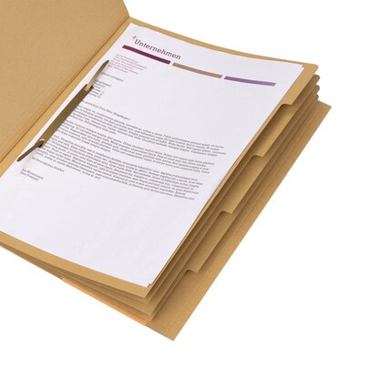 Artikelbild 6 für ELBA Pendelhefter Karton naturbraun 4 x kaufmännische Heftung, Artikelnummer 332617