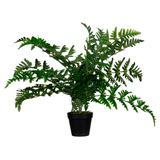 Artikelbild 1 für meet powered by PAPERFLOW FARN Kunstpflanze 55,0 cm, Artikelnummer 521699