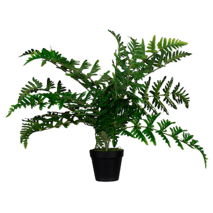 Artikelbild 6 für meet powered by PAPERFLOW FARN Kunstpflanze 55,0 cm, Artikelnummer 521699