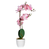 Artikelbild 1 für meet powered by PAPERFLOW ORCHIDEE Kunstpflanze 50,0 cm, Artikelnummer 521704