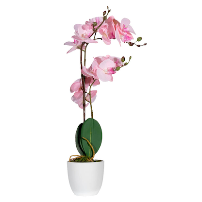 Artikelbild für meet powered by PAPERFLOW ORCHIDEE Kunstpflanze 50,0 cm, Artikelnummer 521704