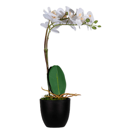 Artikelbild für meet powered by PAPERFLOW ORCHIDEE Kunstpflanze 40,0 cm, Artikelnummer 521718