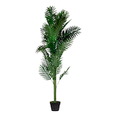 Artikelbild 1 für meet powered by PAPERFLOW PALME Kunstpalme 160,0 cm, Artikelnummer 521736