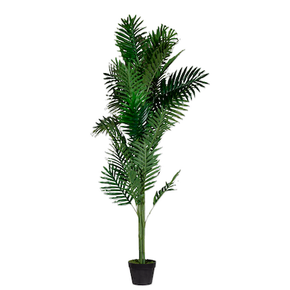 Artikelbild für meet powered by PAPERFLOW PALME Kunstpalme 160,0 cm, Artikelnummer 521736