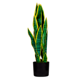 Artikelbild 1 für meet powered by PAPERFLOW SANSEVIERIA Kunstpflanze 65,0 cm, Artikelnummer 521809