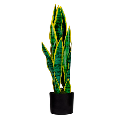 Artikelbild 7 für meet powered by PAPERFLOW SANSEVIERIA Kunstpflanze 65,0 cm, Artikelnummer 521809