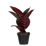 Artikelbild 1 für meet powered by PAPERFLOW GUMMIBAUM Kunstbaum 36,0 cm, Artikelnummer 521751